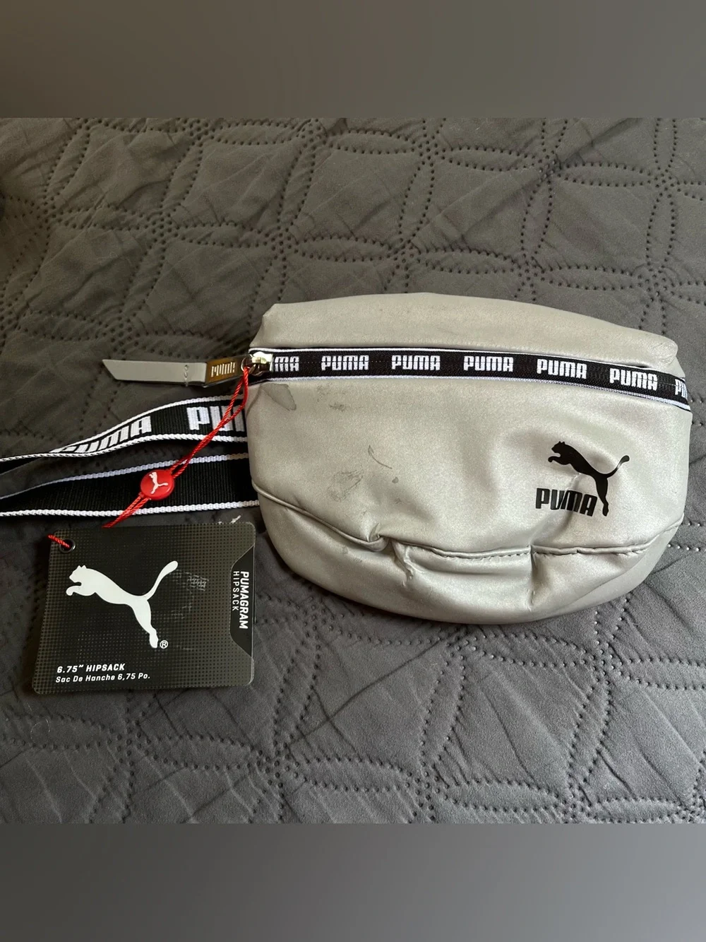 Puma Silver PU 13